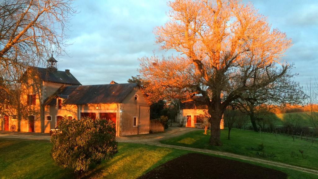 B&B Chateau De Preuil Vallenay Zewnętrze zdjęcie