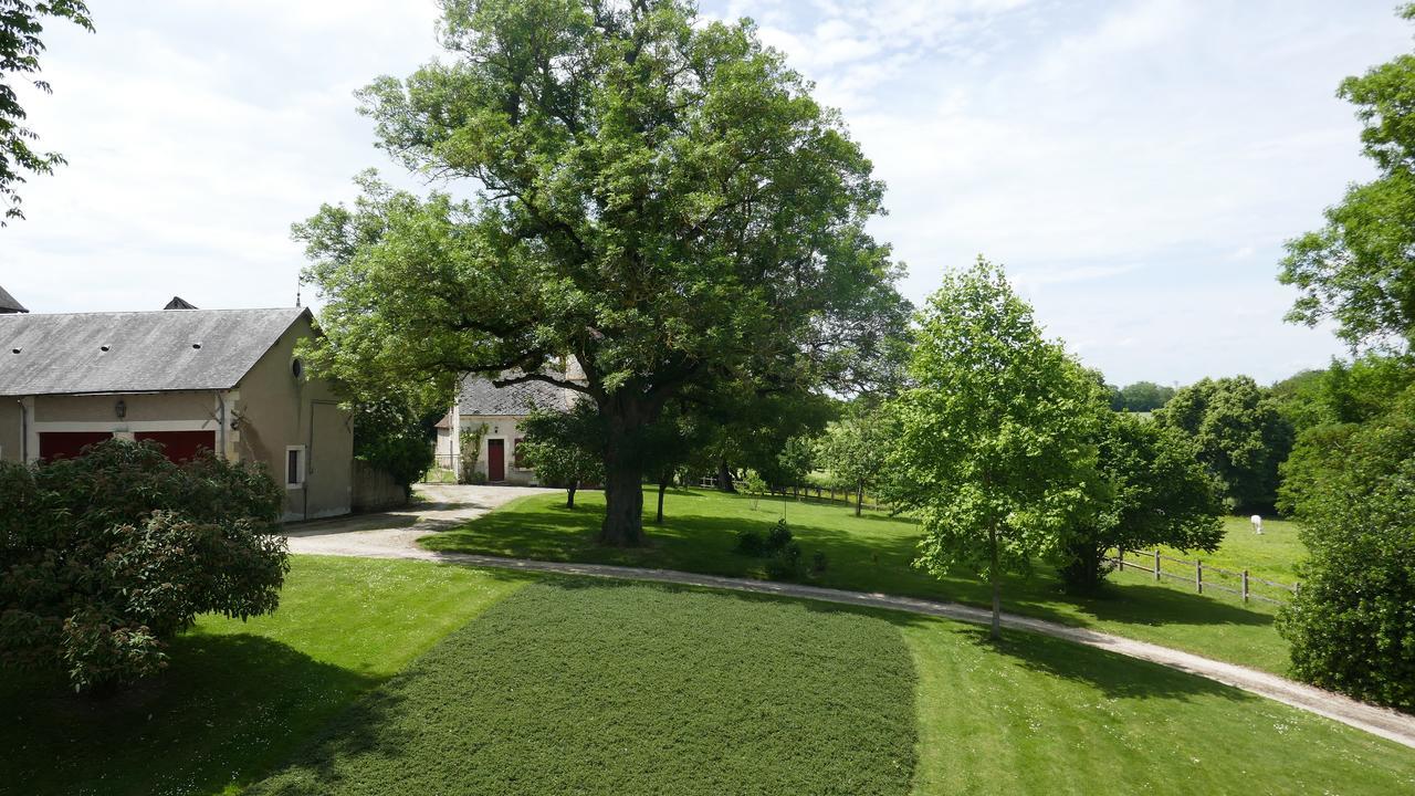 B&B Chateau De Preuil Vallenay Zewnętrze zdjęcie
